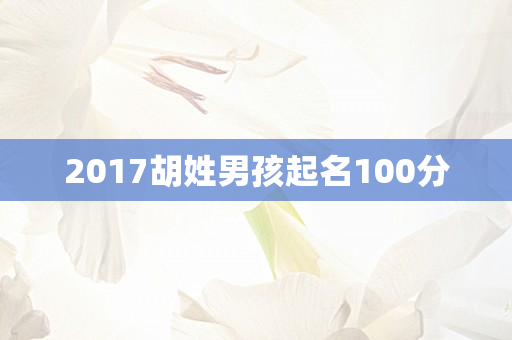 2017胡姓男孩起名100分